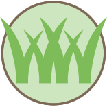 Goodyear Lawn Mowing