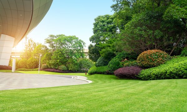 Cost of Commercial Lawn Mowing in Goodyear
