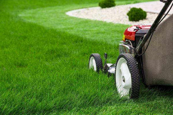 Lawn Cutting Service in Goodyear