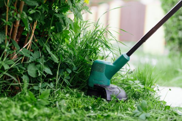 Cost of Weed Whacking in Goodyear
