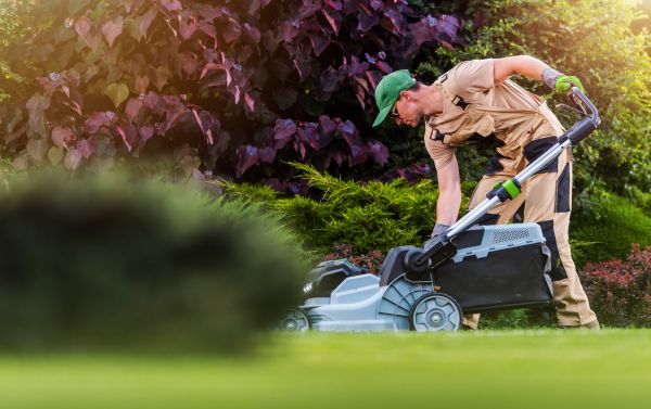 Yard Care Service in Goodyear