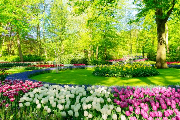 Cost of Spring Lawn Care in Goodyear