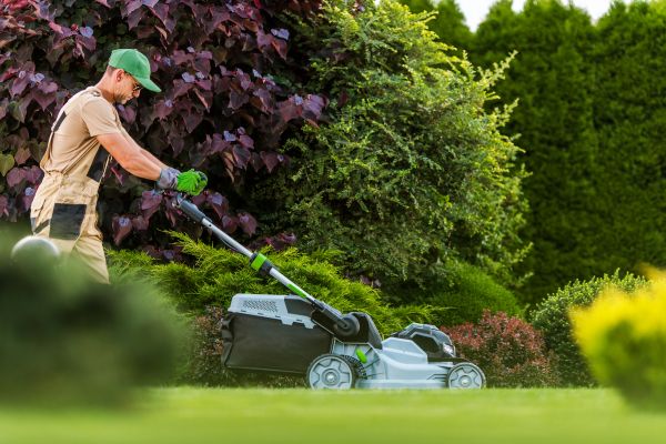 Lawn Management in Goodyear