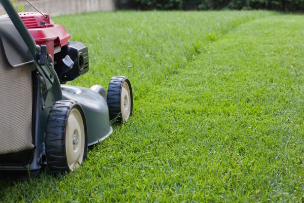 Summer Lawn Care in Goodyear