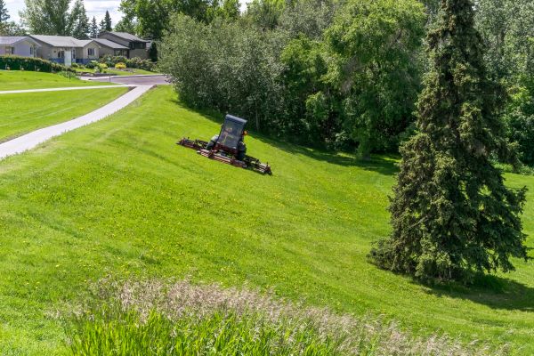 Hill Mowing in Goodyear